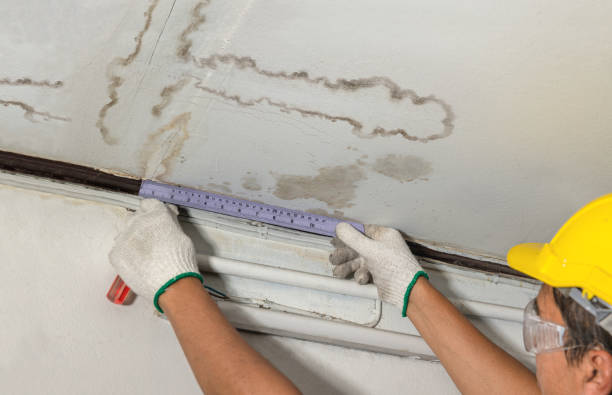 Reliable Water Damage Repair contractor in Delaware, DE by Hirex Water Damage